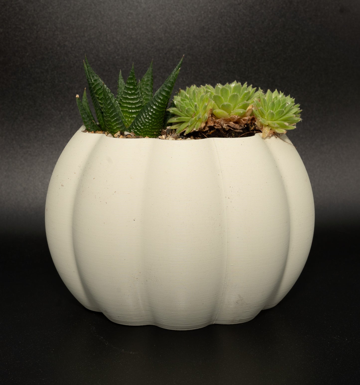 3d Printed Pumpkin Planter & Succulents