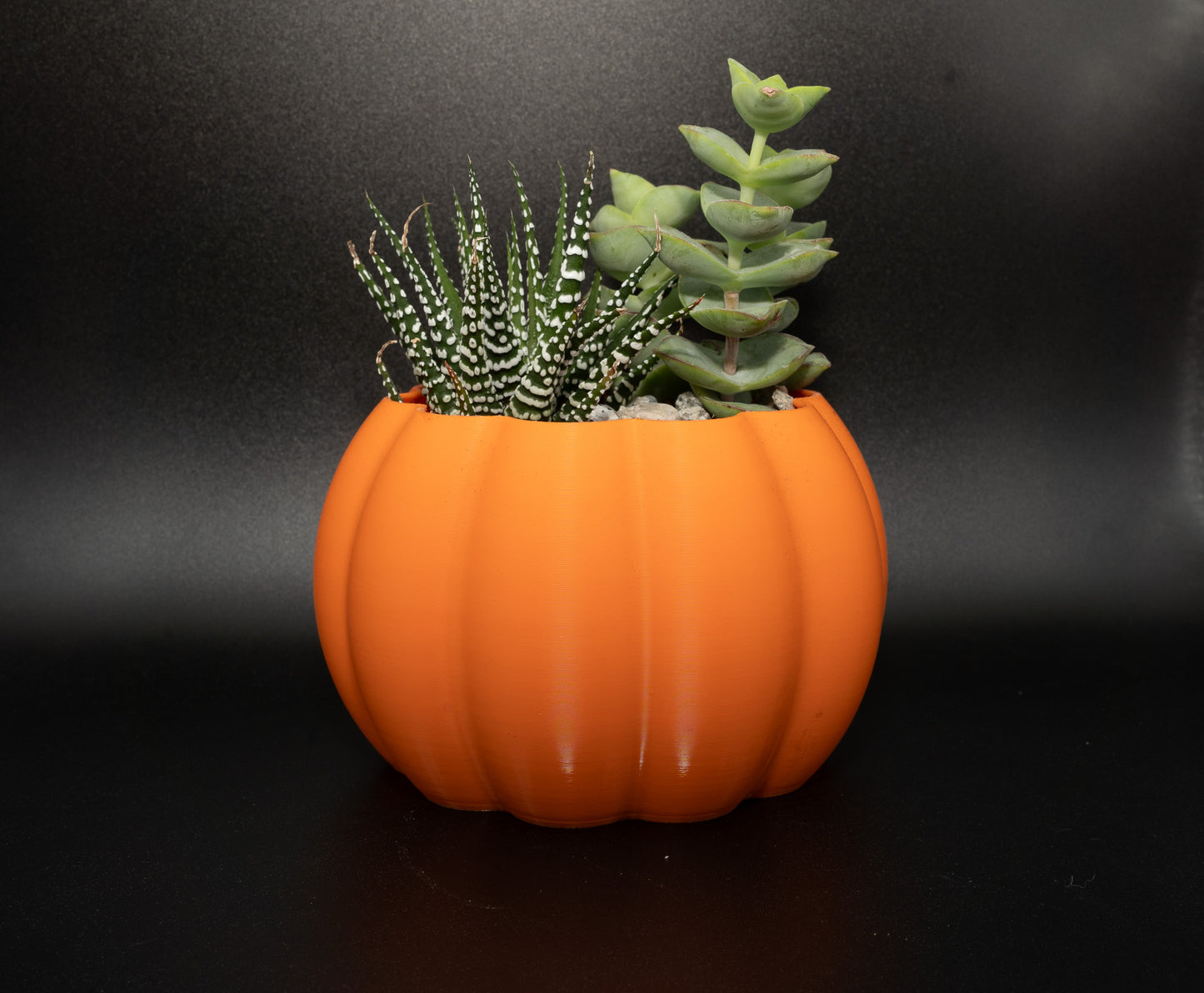 3d Printed Pumpkin Planter & Succulents