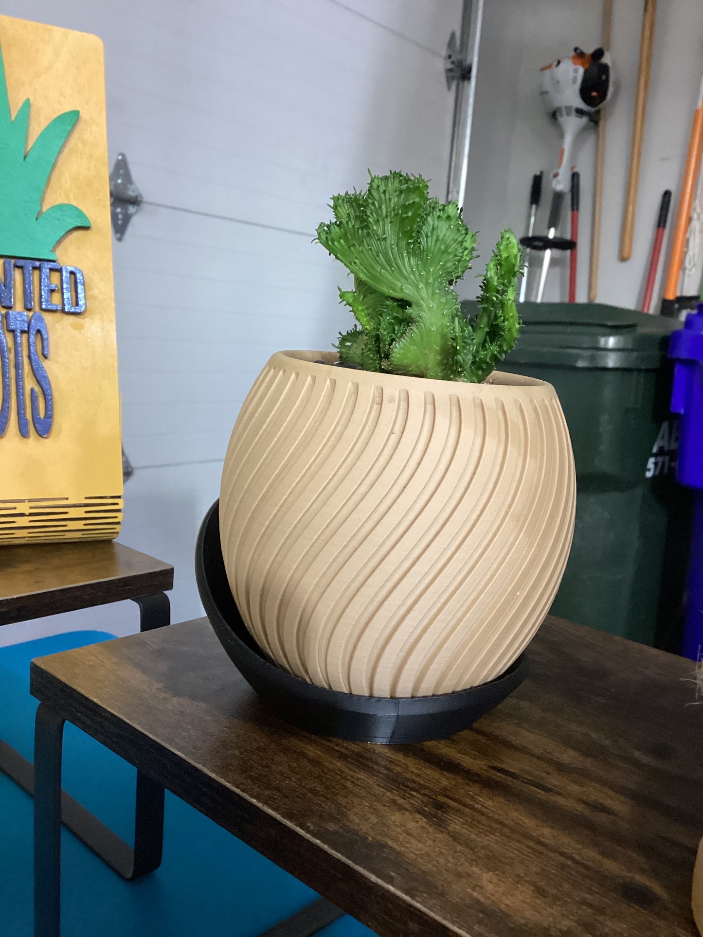 3d Printed Wavy Pot & Succulents