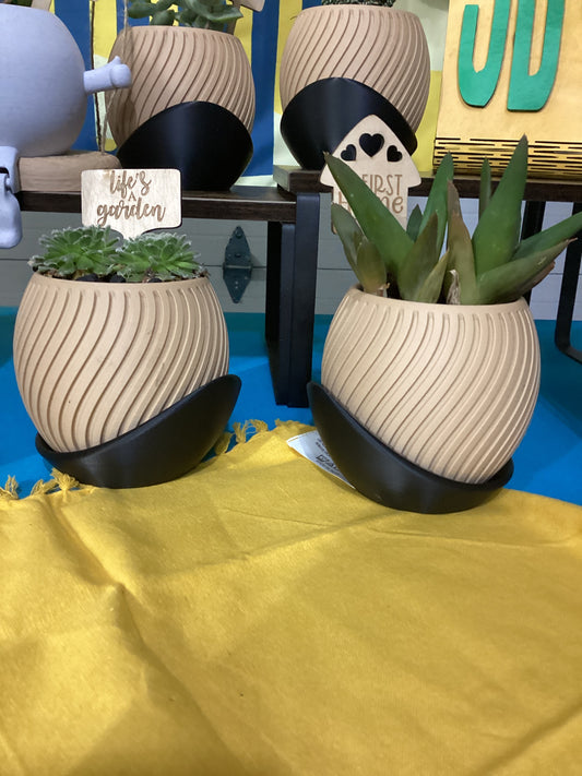 3d Printed Wavy Pot & Succulents