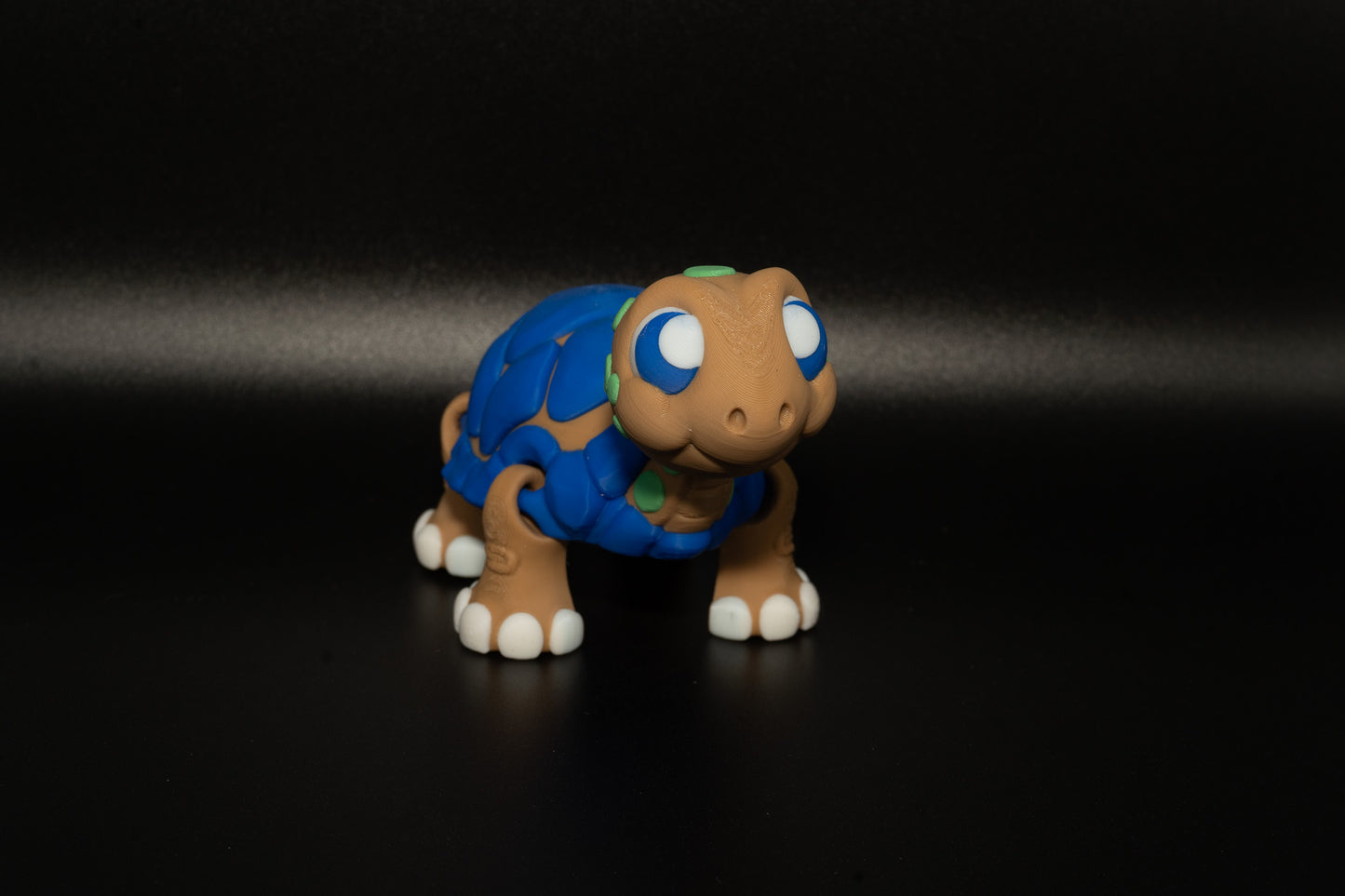 3D Printed Turtle