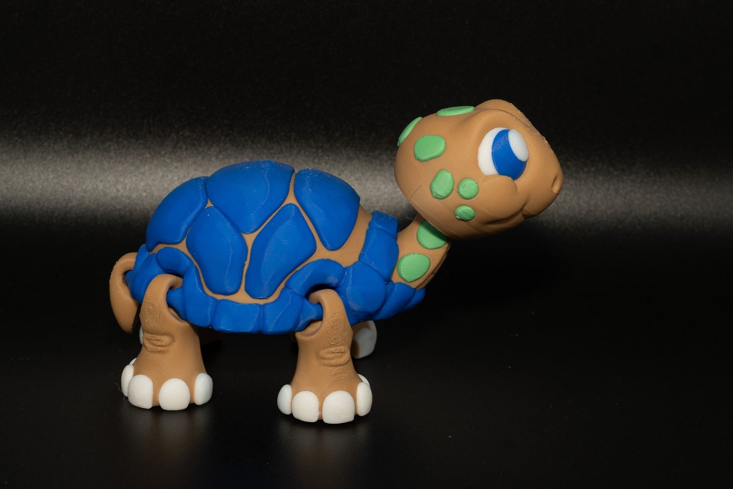 3D Printed Turtle