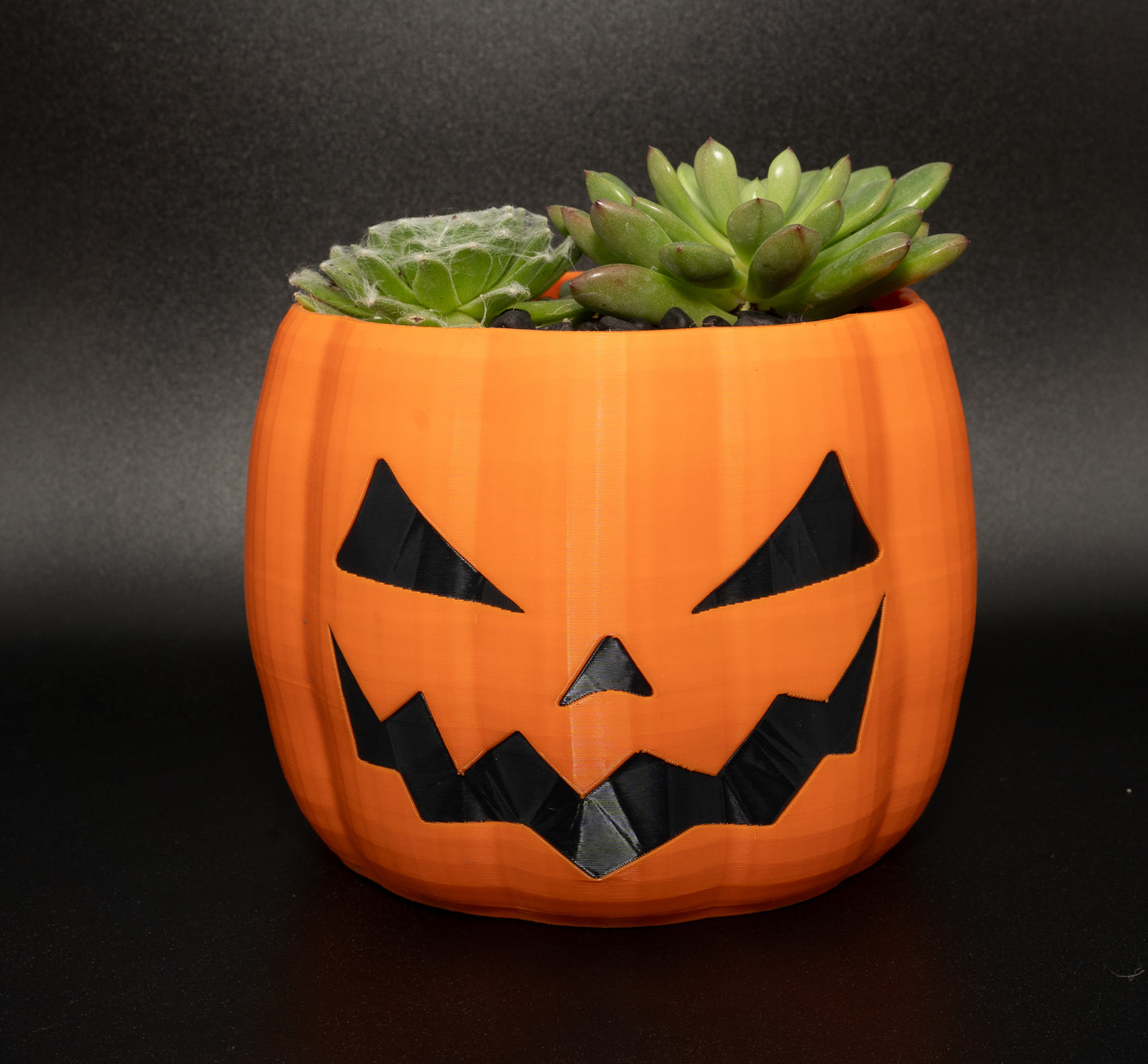 3d Printed Pumpkin Planter & Succulents