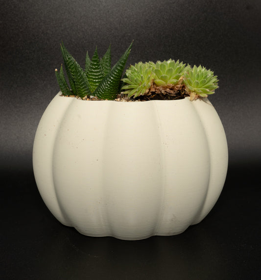 3d Printed Pumpkin Planter & Succulents