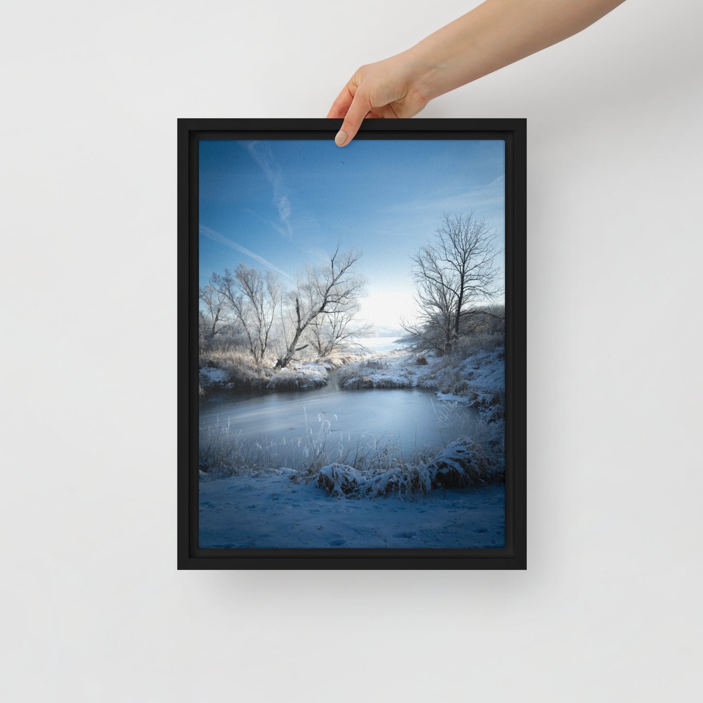 Framed canvas print Winter Lake