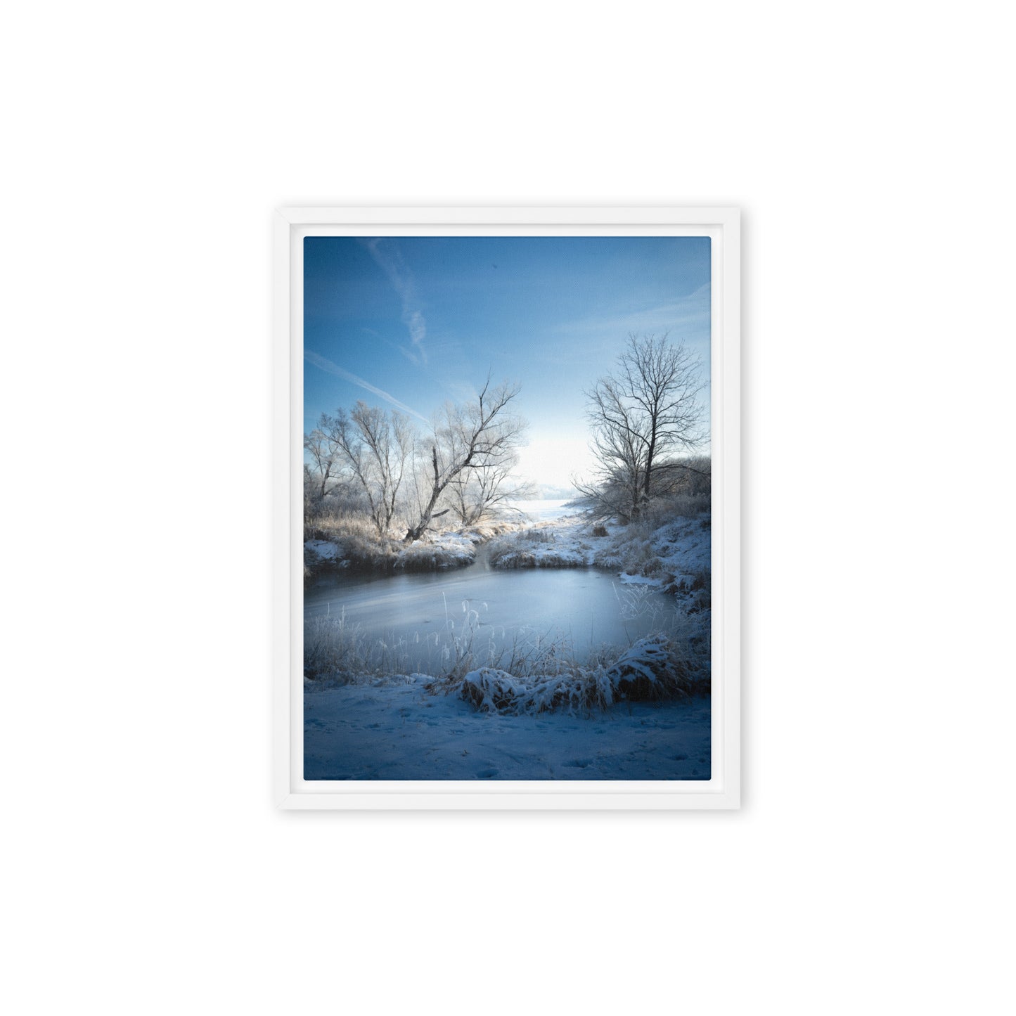 Framed canvas print Winter Lake