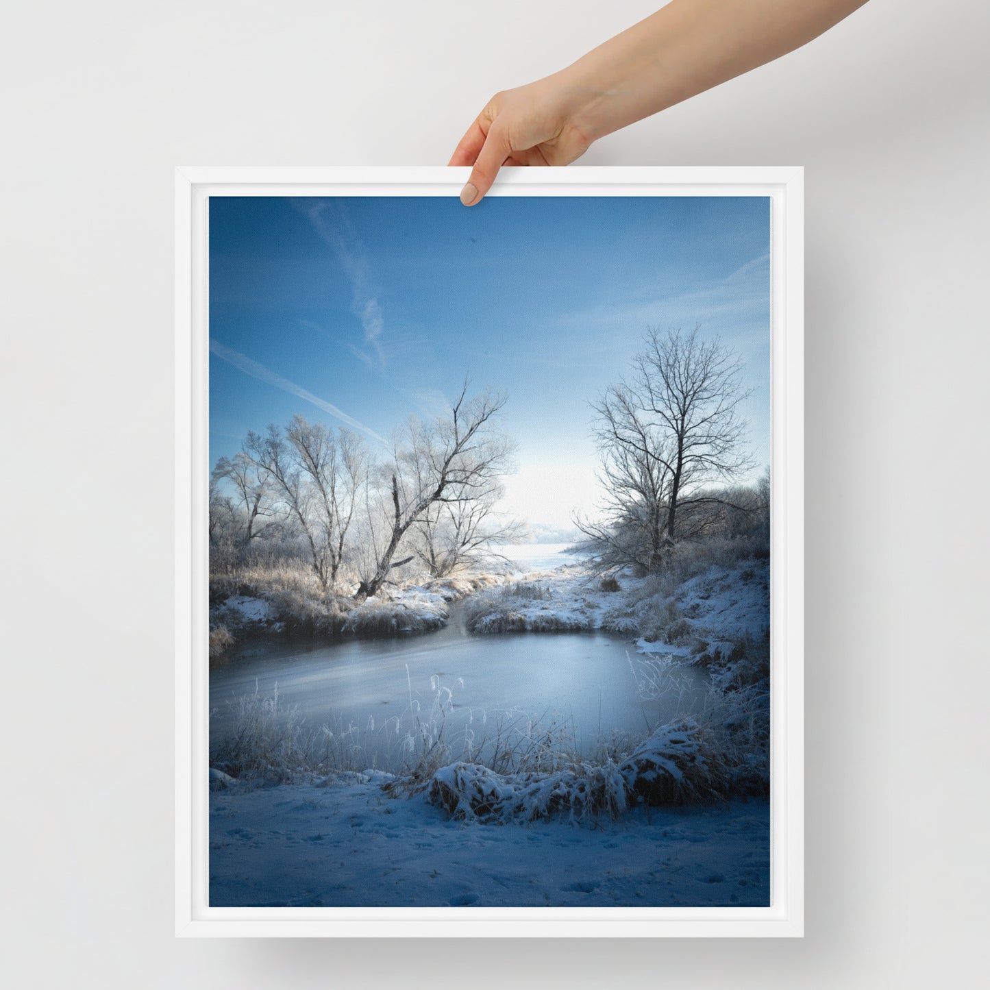 Framed canvas print Winter Lake